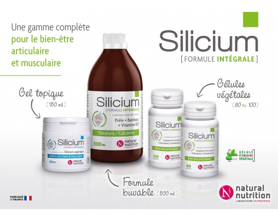 Poster Gamme Silicium 2018.jpg