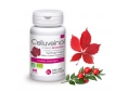 CELLUVEINOL BIO fragon vigne.jpg